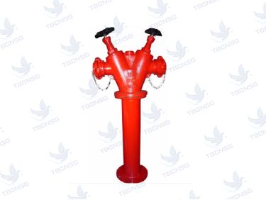 Sản phẩmTrụ Chữa Cháy 2 Cửa D65-DN100
