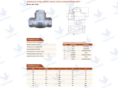 Van 1 chiều lá lật inox Arita ARV-103SE chính hãng
