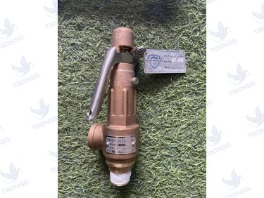 Van an toàn Aetv S10LS