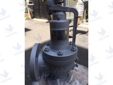 Van An Toàn FSV-1F Xả Lưu Lượng Lớn