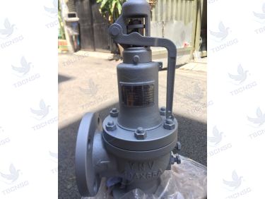 Van An Toàn FSV-1F Xả Lưu Lượng Lớn