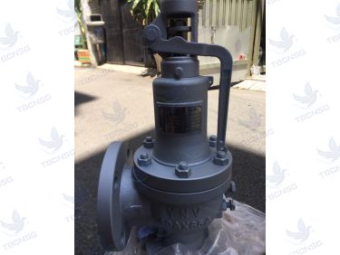 Van An Toàn FSV-1F Xả Lưu Lượng Lớn