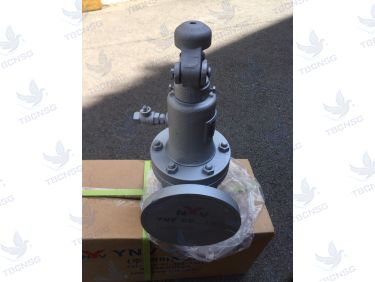 Van An Toàn FSV-1F Xả Lưu Lượng Lớn