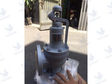 Van An Toàn FSV-1F Xả Lưu Lượng Lớn
