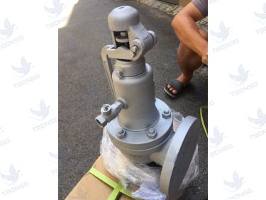 Van An Toàn FSV-1F Xả Lưu Lượng Lớn