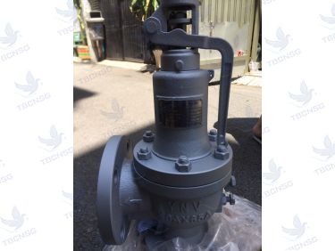 Van An Toàn FSV-1F Xả Lưu Lượng Lớn