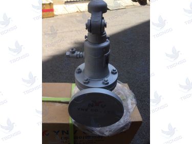 Van An Toàn FSV-1F Xả Lưu Lượng Lớn