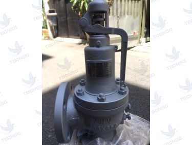 Van An Toàn FSV-1F Xả Lưu Lượng Lớn
