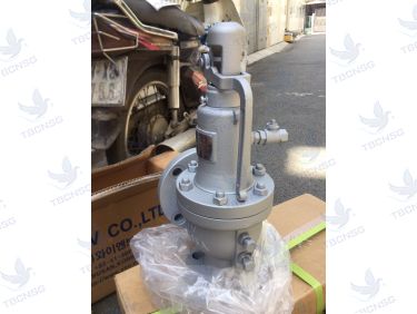 Van An Toàn FSV-1F Xả Lưu Lượng Lớn
