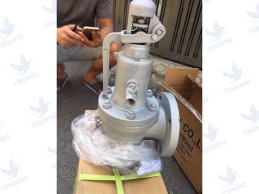 Van An Toàn FSV-1F Xả Lưu Lượng Lớn
