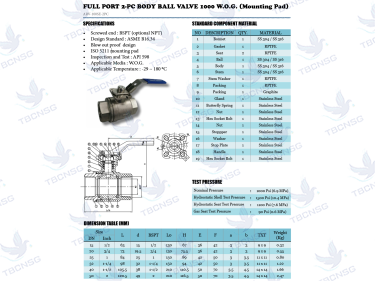 Van bi Arita tay gạt nối ren inox 304 model ARV 100SE 2PC