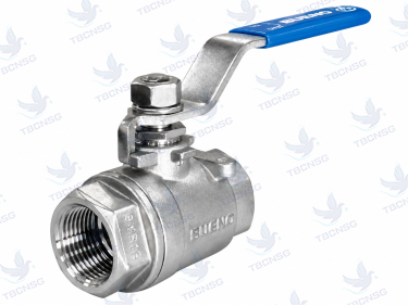 Van Bi Bueno BB-201 - Van Bi 2 Mảnh Ghép Ren Lỗ Toàn Phần