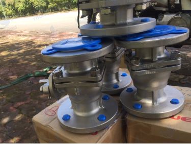 Van bi Bueno F601 F602 F603 mặt bích 2 mảnh