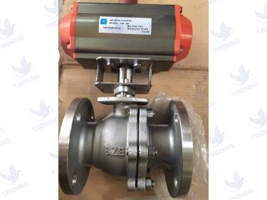 Van bi BZE mặt bích thân inox SCS13