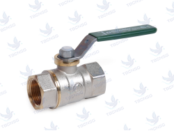 Van bi Giacomini R250W nối ren chứng nhậ..