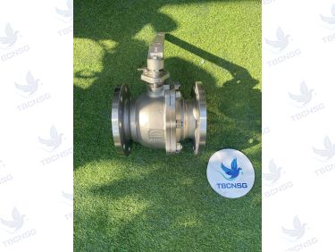Van Bi Wonil WSB-2: Thân Inox 304 2 Mảnh, Mặt Bích JIS 10K, Tay Gạt