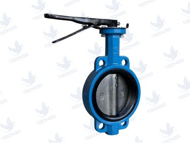 Van bướm DHC Hàn Quốc