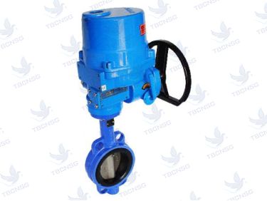 Sản phẩmVan bướm điện Arita Malaysia