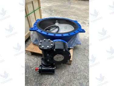 Van Bướm DN500, DN600, DN700, DN800, DN1000, DN1200, DN1500, DN2000