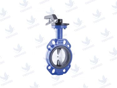 Van bướm Duyar T-0910