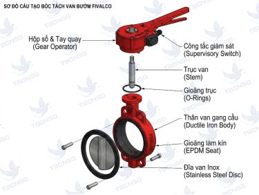 Van bướm Fivalco