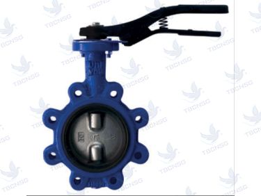 Sản phẩmVan bướm Giacomini kết nối mặt bích tay gạt