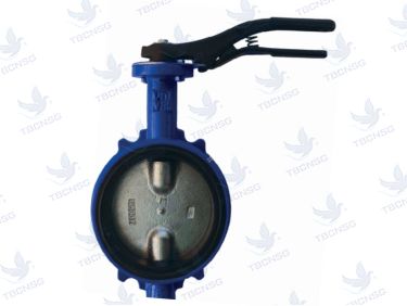 Sản phẩmVan bướm Giacomini loại wafer model R59W