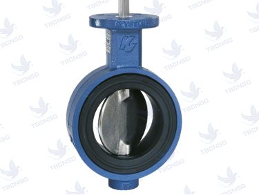 Van bướm Keystone