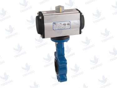 Van bướm khí nén Haitima