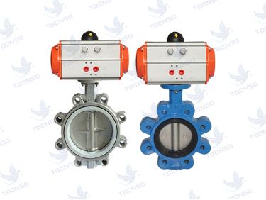 Van bướm khí nén Haitima