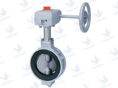Van bướm KITZ 10DJUE