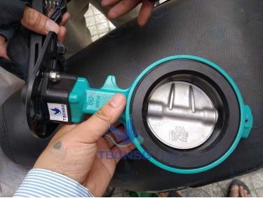 Van bướm nhập khẩu