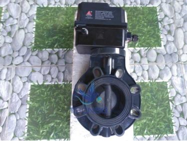 Van bướm nhập khẩu