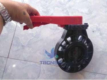 Van bướm nhập khẩu