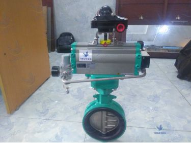 Van bướm nhập khẩu