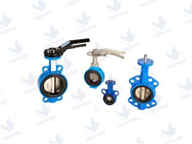 Van bướm tay gạt gang KST PN16