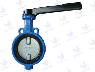 Van bướm tay gạt gang KST PN16