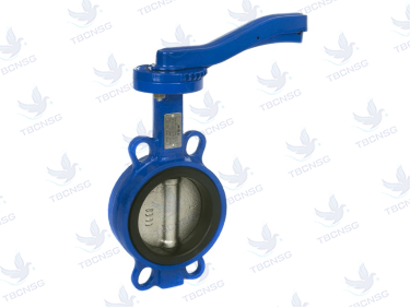 Van bướm tay gạt gang KST PN16