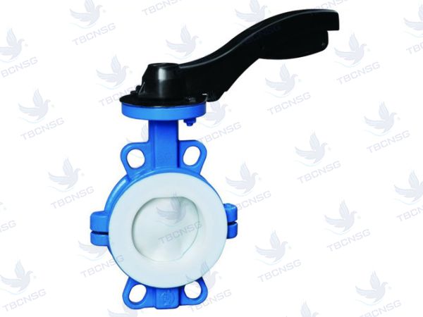 Van bướm ZBE tay gạt gioăng PTFE