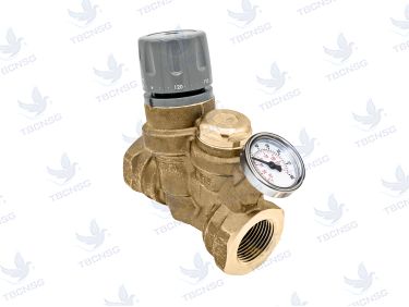 Van cân bằng Caleffi Series 116 cân bằng nhiệt tự động