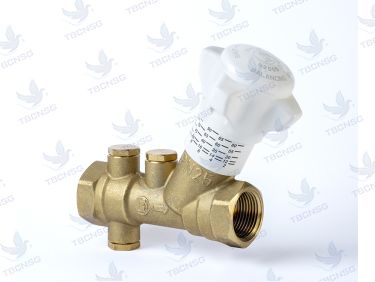 Van cân bằng Giacomini R206B đồng nối ren nguyên lý Venturi