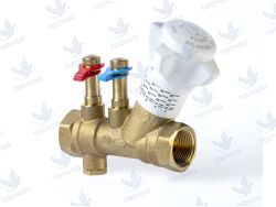 Van cân bằng Giacomini R206B đồng nối re..