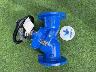 Van cân bằng KVS Model KVS 2872 thân gang nối bích PN16 PN25