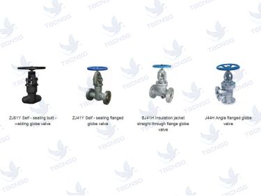 Van cầu Beize nối mặt bích