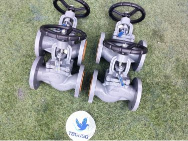 Van cầu chữ ngã gang Arita CIG-S-PN16 