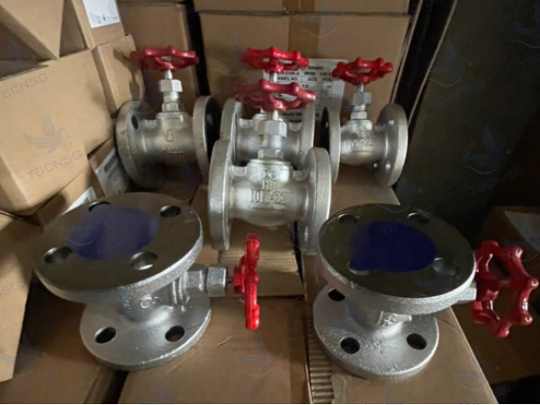 Van cầu Hitachi (Hitachi Globe valve)