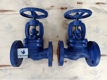Van cầu Joeun Thép A216 WCB
