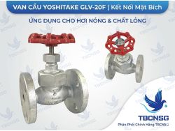 Van cầu Yoshitake GLV-20F 15A 50A JIS 20..
