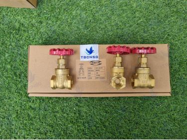 Van cổng Arita ARV 1001SE thân đồng lắp ren