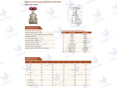 Van cổng Arita ARV 1001SE thân đồng lắp ren
